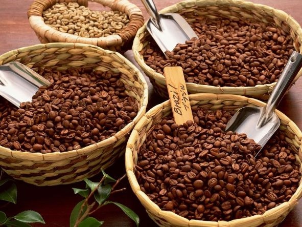 Vietnamese coffee export price hits record high since 2018
